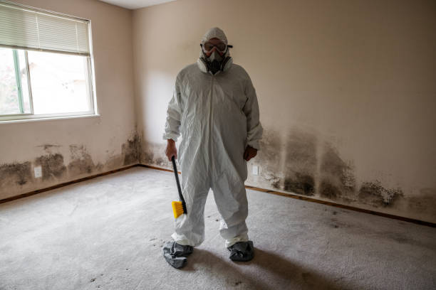 Best Residential Mold Removal  in Mcqueeney, TX