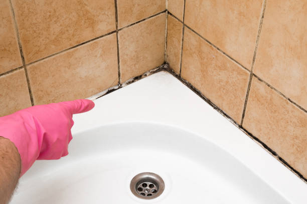 Best Commercial Mold Removal  in Mcqueeney, TX